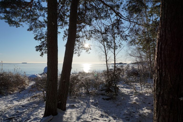 Solen lyser över havet och in i skogen vid Marskärsuddens rastplats